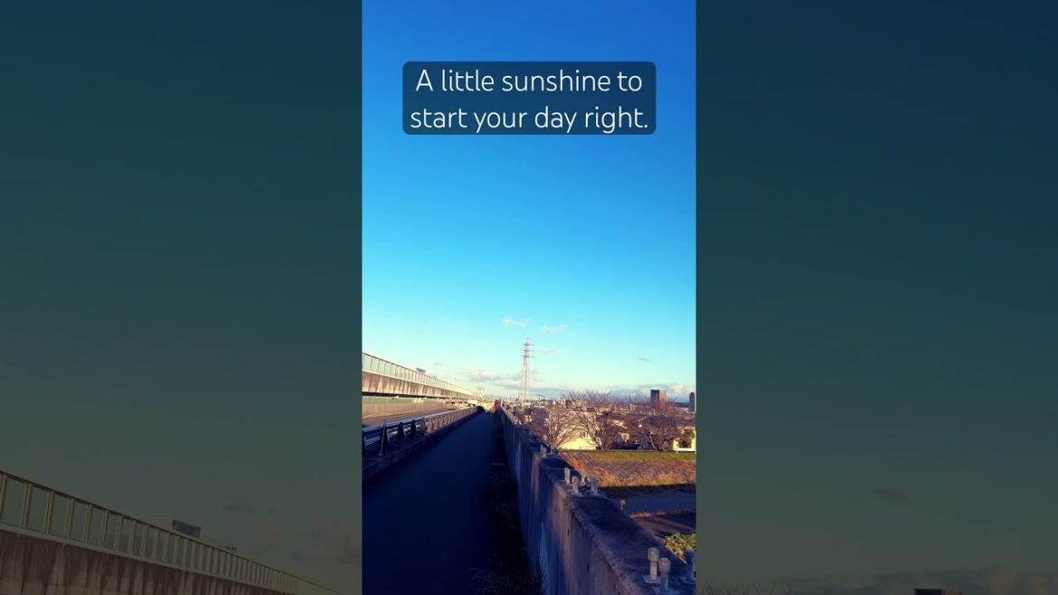 View of Shizuoka city Sena #shizuoka #shorts #travel #morningmotivation #japan