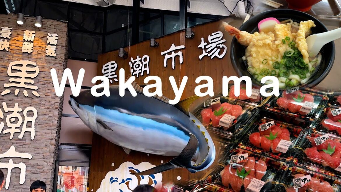 日本 大阪 和歌山縣 黑潮市場 主題公園  街景漫步 #散步 #購物 #美食    city walk  4K