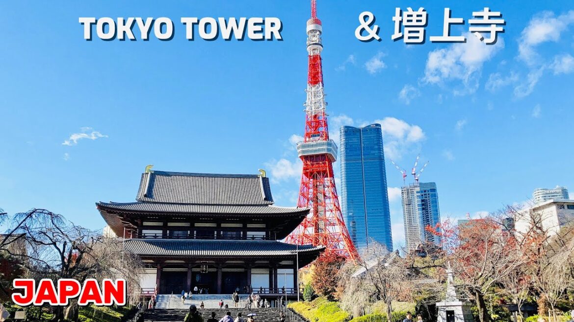 [4K] Tokyo Tower 増上寺を訪れる: Serenity Meets Spectacle | Japan Walking Tour ||