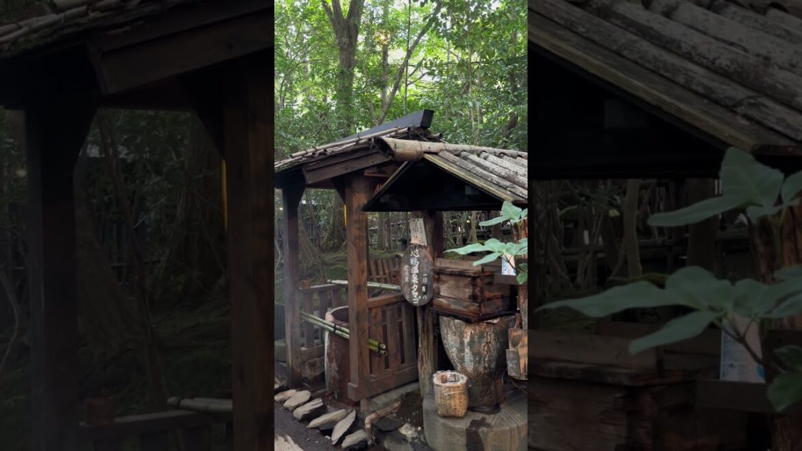 𝗢𝗭'𝘀 𝗣𝗶𝗰𝗸🛫구마모토 온천 ASMR