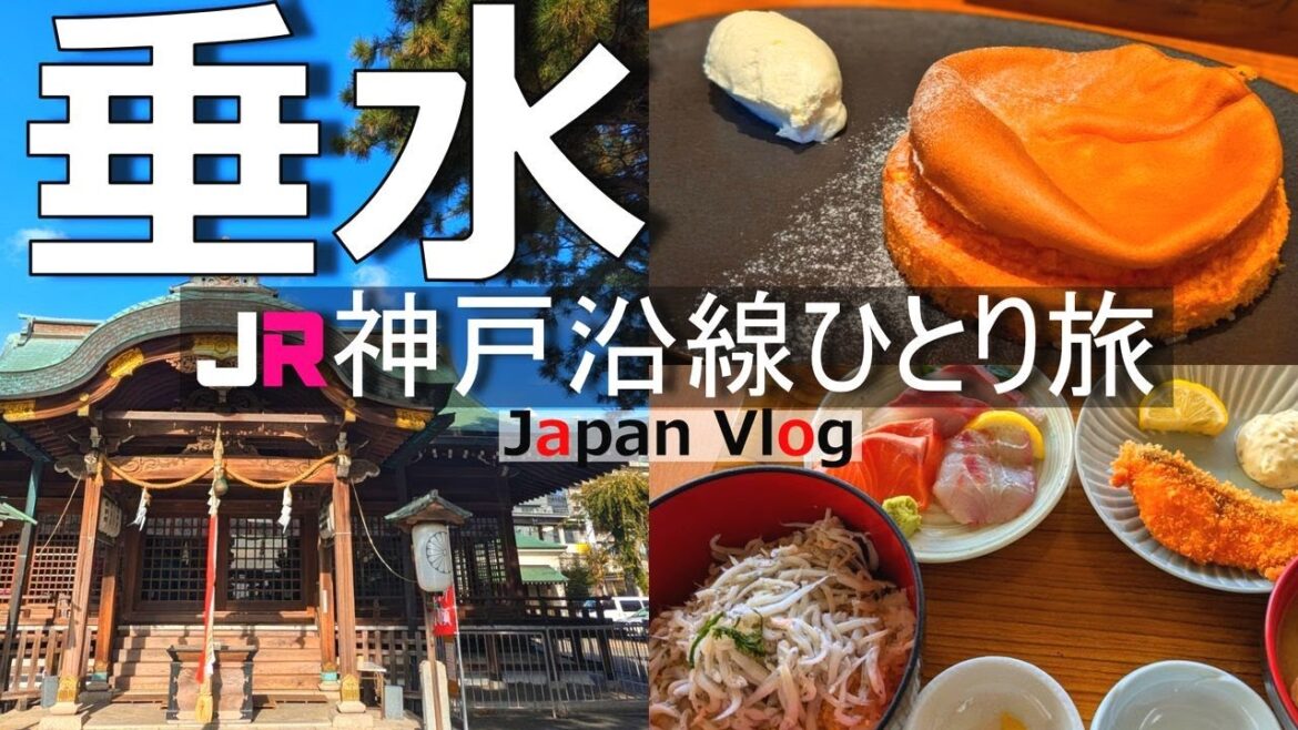 【垂水 ひとり旅】マリンピア神戸の変貌が凄い!垂水のグルメと絶景を楽しむ1日【japan vlog】 【垂水 ひとり旅】マリンピア神戸の変貌が凄い!垂水のグルメと絶景を楽しむ1日【japan vlog】