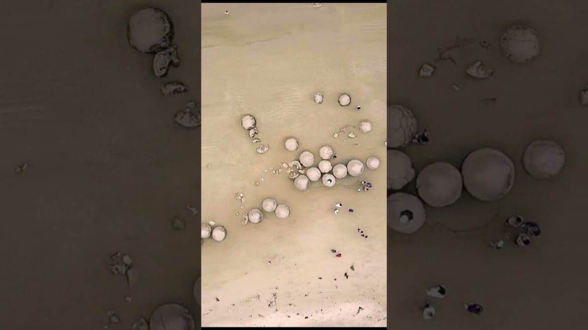 Oamaru: Victorian precinct and blue penguin colony with a trip to Moeraki Boulders Beach