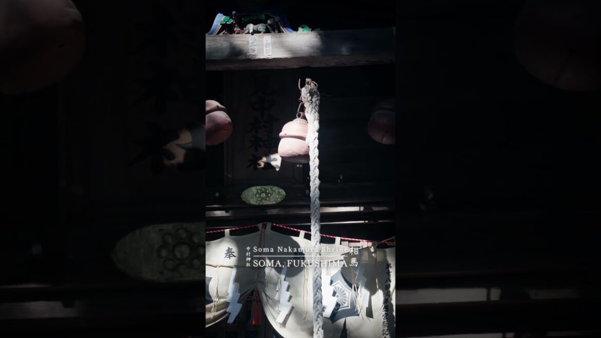 This forest shrine gave me major Zelda vibes 🌳