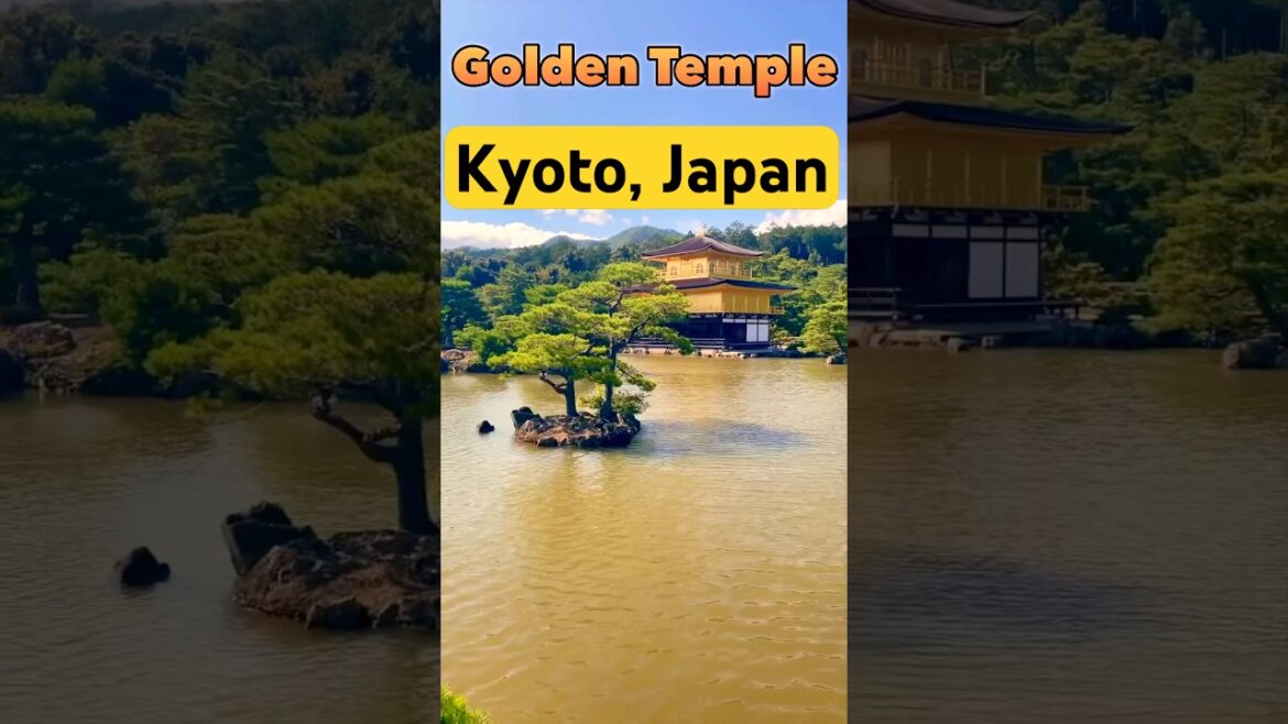 Kinkakuji Temple / Golden Pavilion (Golden Temple) in Kyoto #shorts #travel #music #japan #kyoto
