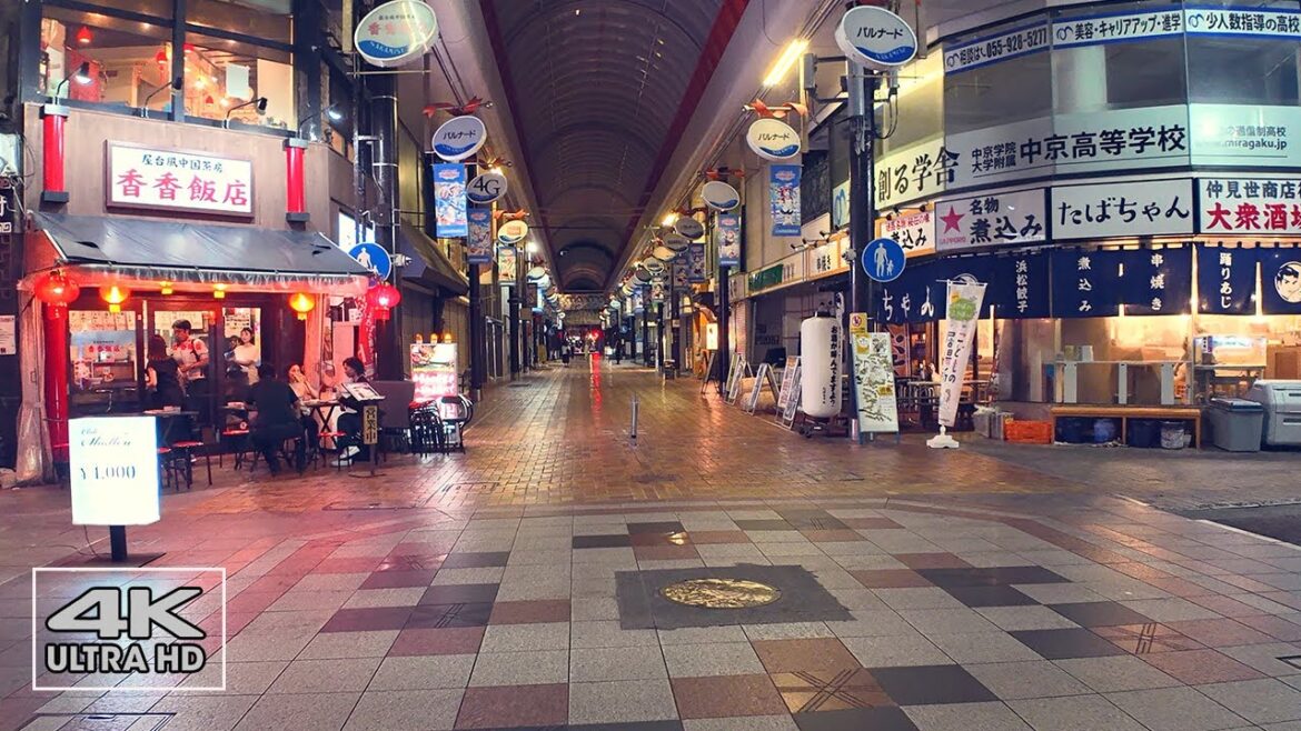 "NUMAZU, Shizuoka After Dark: A Nighttime Walk Through the City Streets"4K