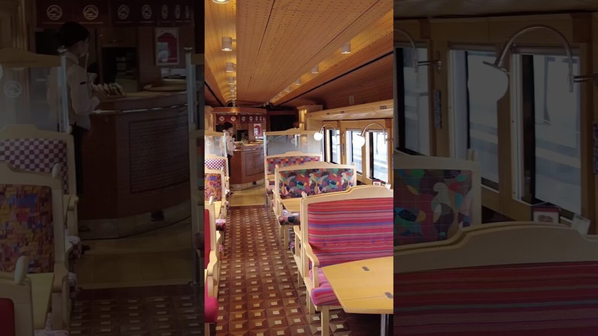 The railway closest to Mount Fuji #fujisanviewexpress #japanrailway