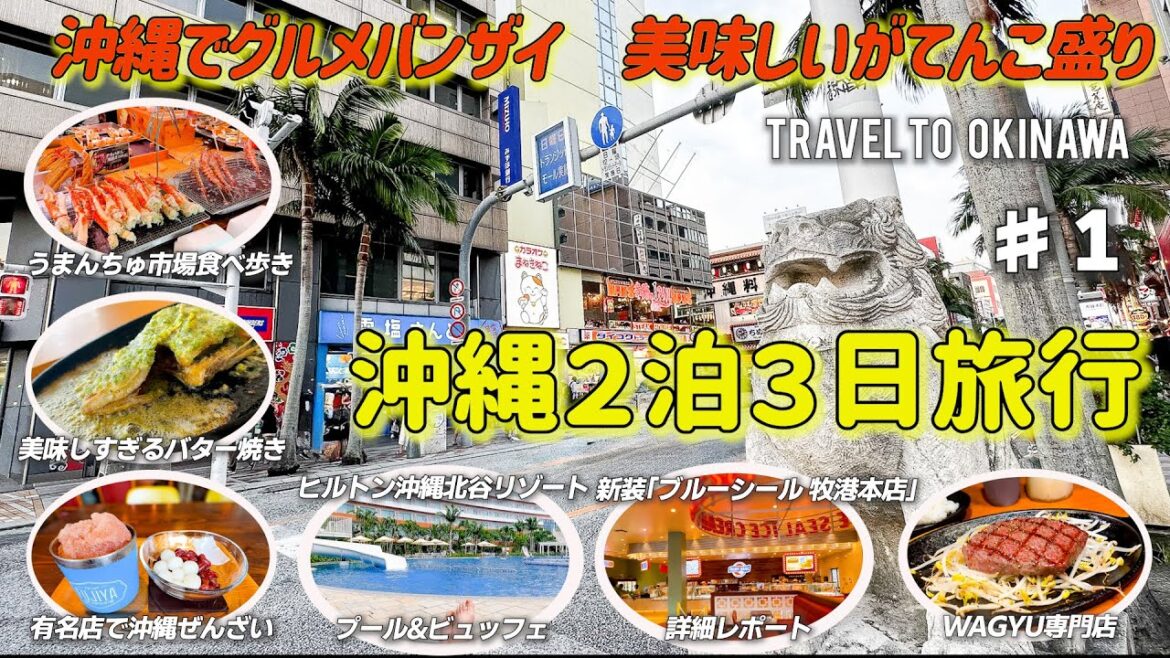 (2024.8)沖縄グルメVLOG 🌺胃が壊れるまで沖縄のグルメを楽しみました ♯1 (2024.8)沖縄グルメVLOG 🌺胃が壊れるまで沖縄のグルメを楽しみました ♯1