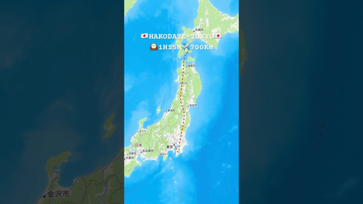 ANA558便 函館から東京（羽田）へのフライト #飛行機