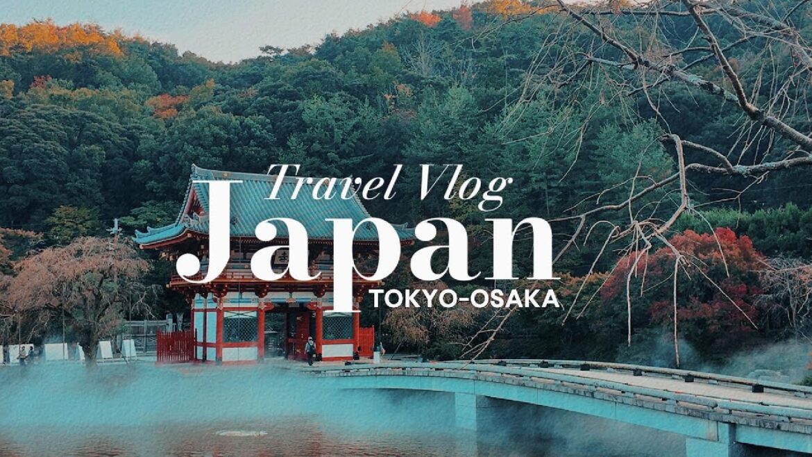 JAPAN VLOG PART ONE (TOKYO-OSAKA)
