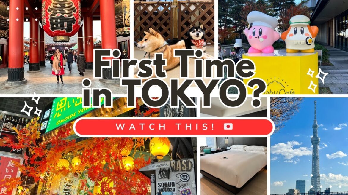 Tokyo Travel Guide: Skytree, Senso-ji, Ramen Tour & Capsule Hotel Experience! Tokyo Travel Guide: Skytree, Senso-ji, Ramen Tour & Capsule Hotel Experience!