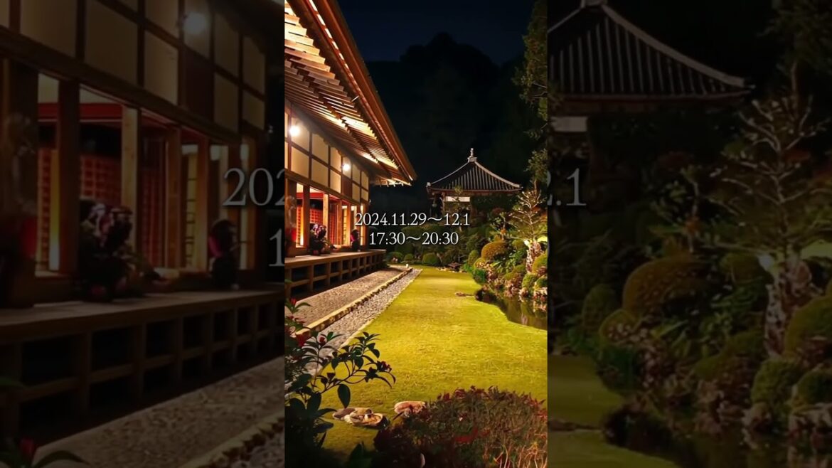 国指定名勝記念物「龍潭寺の庭園」夜間特別公開2024 #shorts