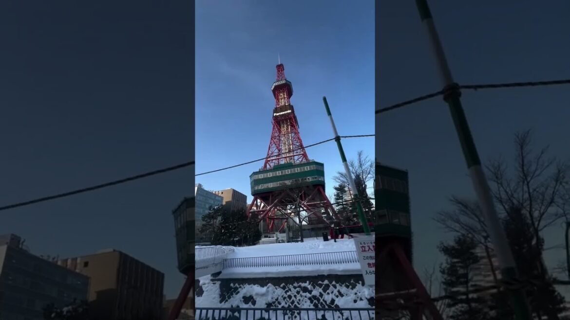 #sapporo #travel #trending #shorts #youtubeshorts #music #japan #viralvideos #train