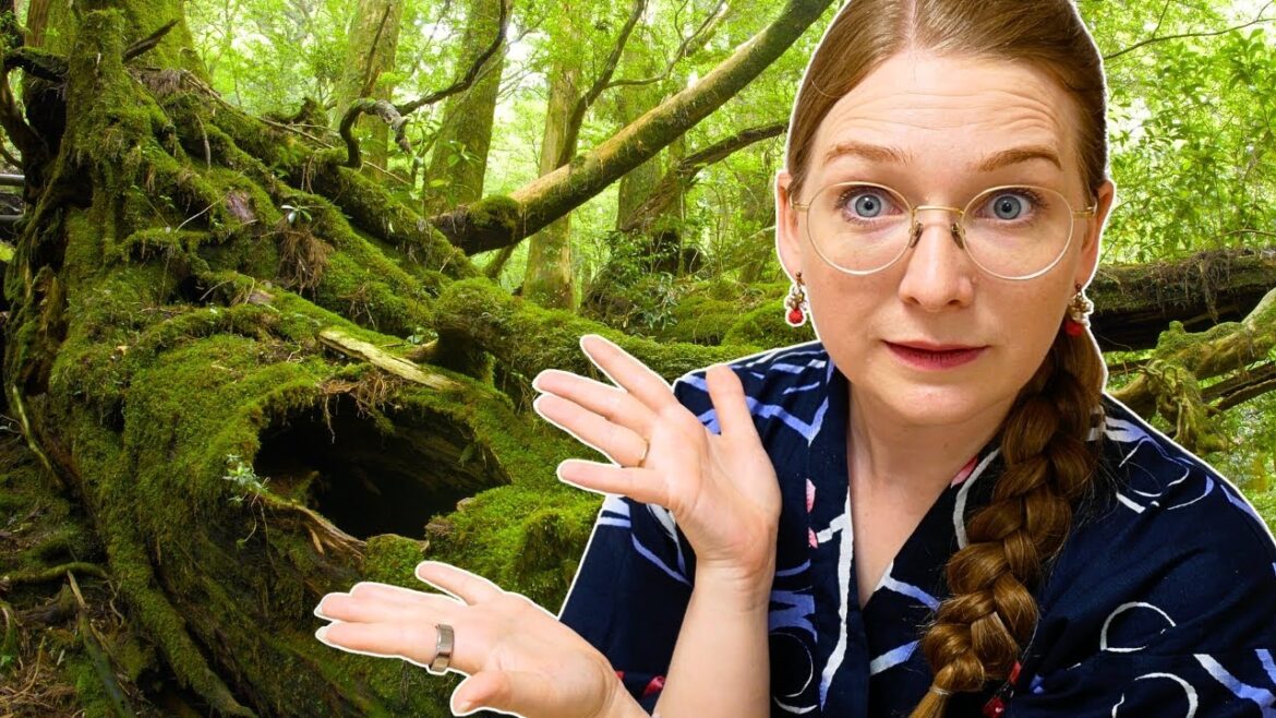 Wandern auf Yakushima: Der perfekte Guide für dein Naturabenteuer Wandern auf Yakushima: Der perfekte Guide für dein Naturabenteuer