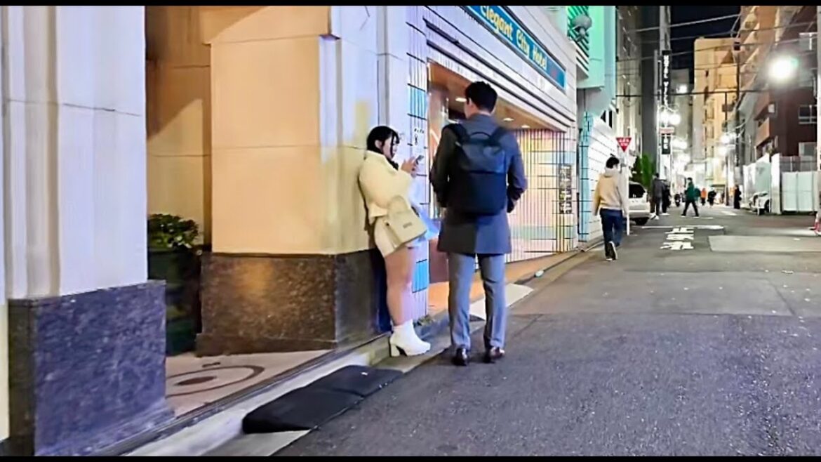 Kabukicho, Shinjuku, Tokyo. Up on December 16, 2024.