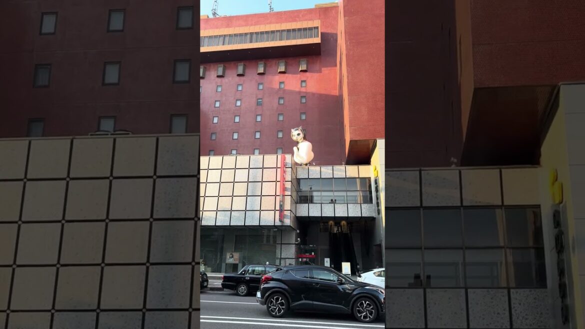 #Space Cat 😼 Tho?, Takamatsu