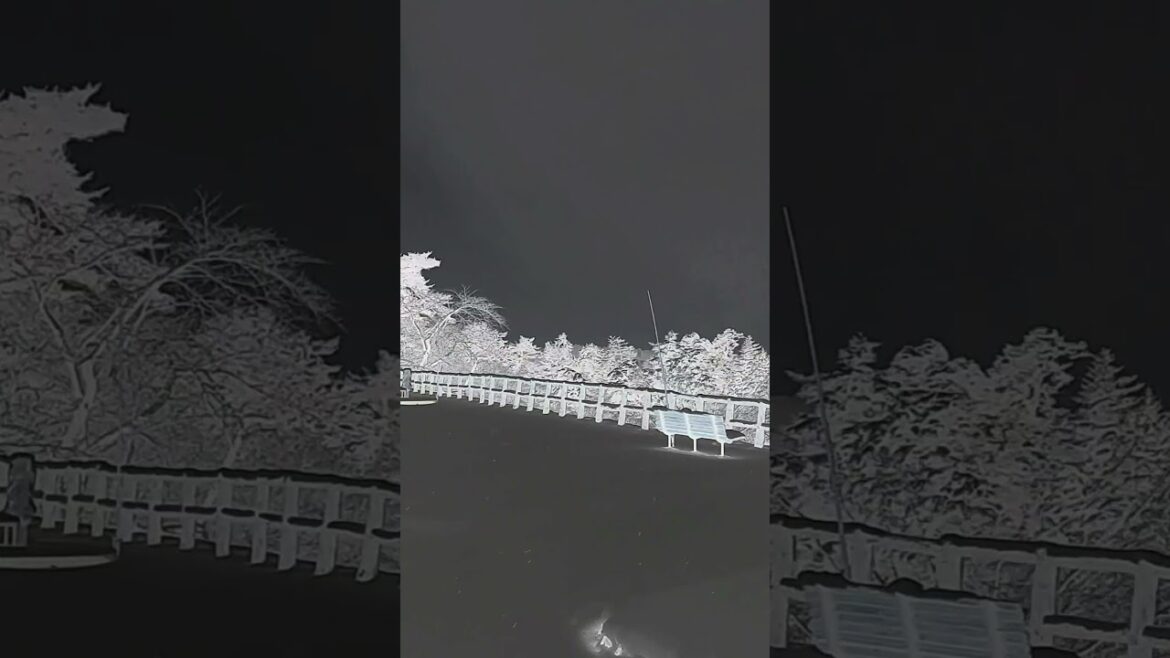 真冬の弘前公園 / Hirosaki Park in winter #shorts #弘前城 #雪国