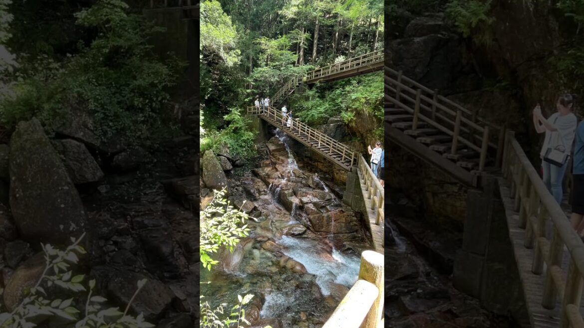 【最強パワースポット⁉】中津川の秘境　エメラルドグリーン龍神の滝   　 #中津川　#龍神の滝　#shorts