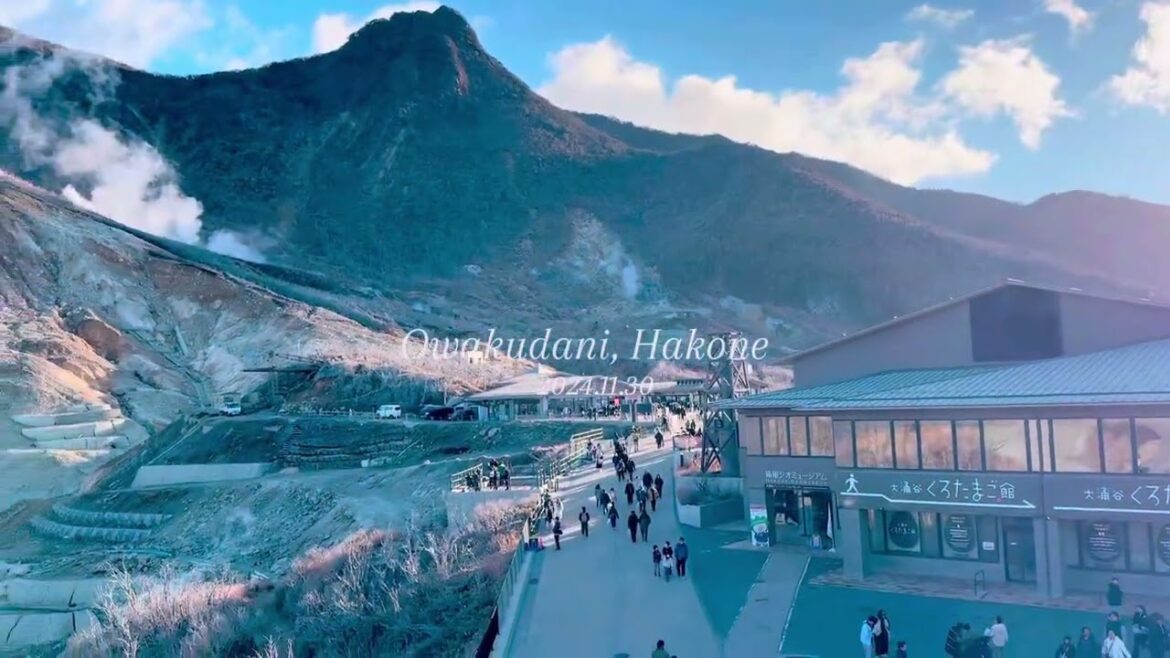 Hakone Ropeway and Mt. Fuji Hakone Ropeway and Mt. Fuji
