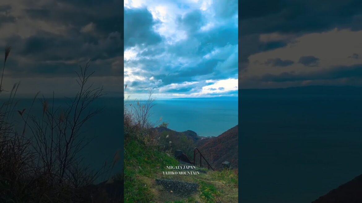 新潟 弥彦山 #弥彦山 #新潟  #新潟県 #新潟観光 #japan