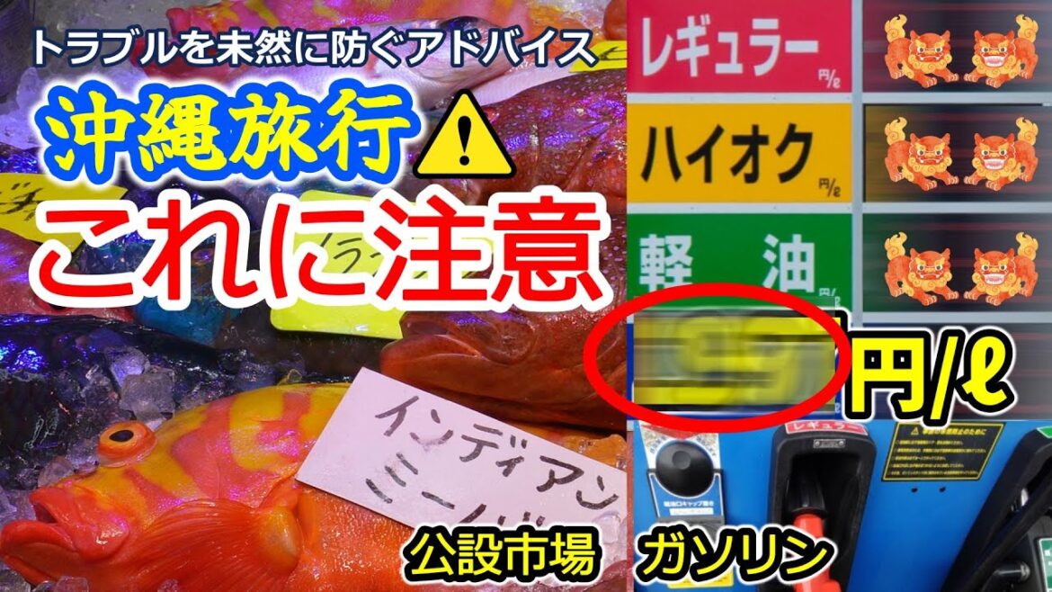 沖縄60回超えのシニアに降りかかったトラブル。旅行で気をつけたい2つのポイント!トラブルを未然に防ぐためのアドバイス。公設市場での持ち上げとレンタカー返却時の給油について 沖縄60回超えのシニアに降りかかったトラブル。旅行で気をつけたい2つのポイント!トラブルを未然に防ぐためのアドバイス。公設市場での持ち上げとレンタカー返却時の給油について