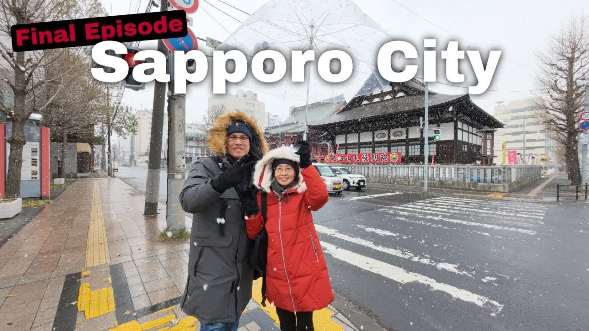 Hokkaido Japan Vlog 14 : Final Episode - Sapporo City Tour, Shopping and Snow