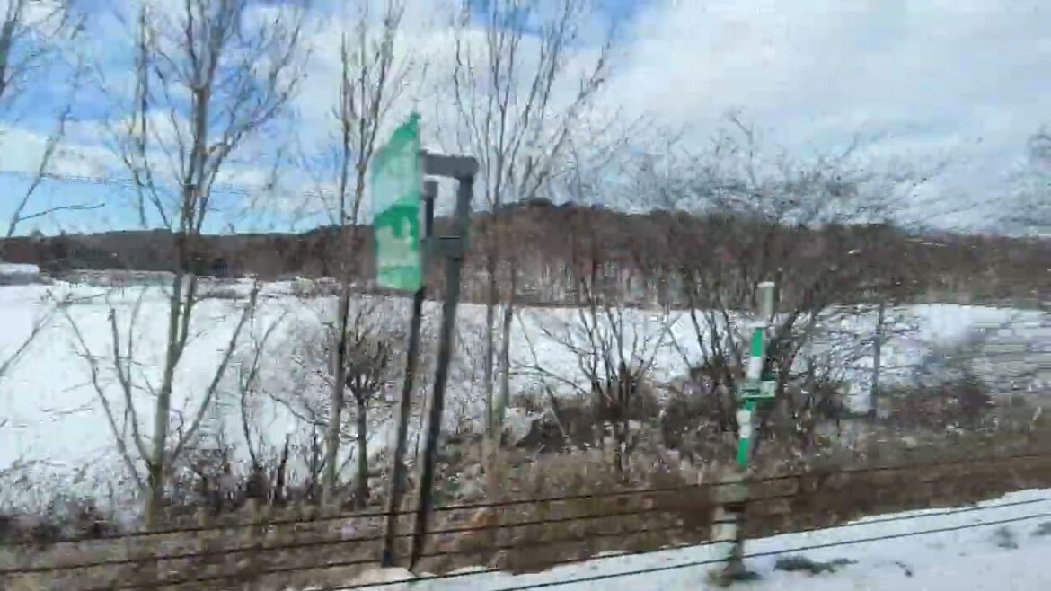 Love at frost sight.❤️. #snowroad #travel #sapporo