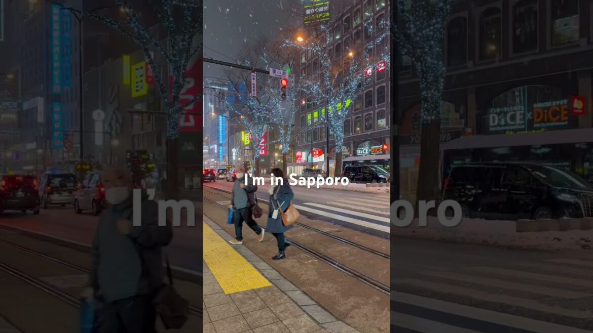 【北海道札幌】12月17日的傍晚下雪｜狸小路街頭｜凍住靚 凍住影｜開心｜日本｜Japan｜Hokkaido｜Sapporo #christmas #love #music #travel