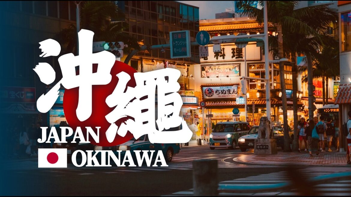 比臺灣還便宜的日本度假勝地?不自駕玩沖繩vlog!美國村~在地夜市~開箱青旅~居酒屋美食~水族館~潛水賞鯨~琉球服初體驗|田谷源Tian Guyuan 比臺灣還便宜的日本度假勝地?不自駕玩沖繩vlog!美國村~在地夜市~開箱青旅~居酒屋美食~水族館~潛水賞鯨~琉球服初體驗|田谷源Tian Guyuan