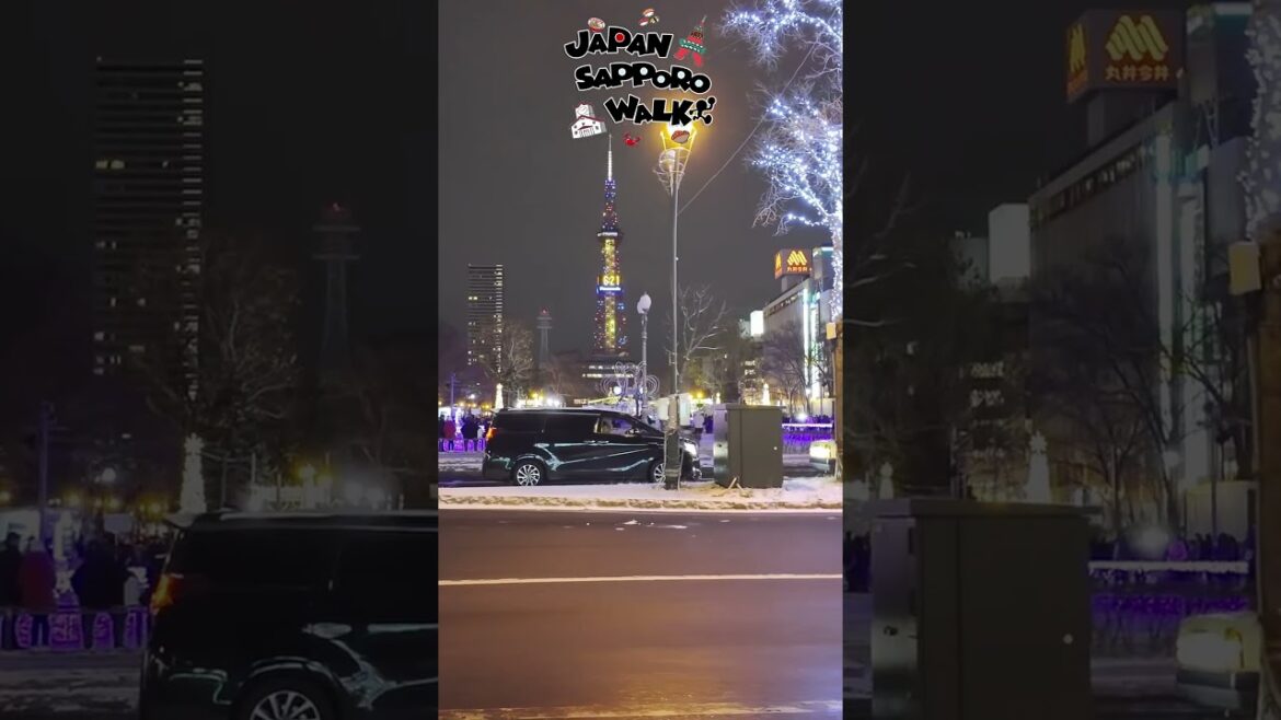 🇯🇵2024 さっぽろホワイトイルミネーション 札幌駅前通～すすきの 散歩！