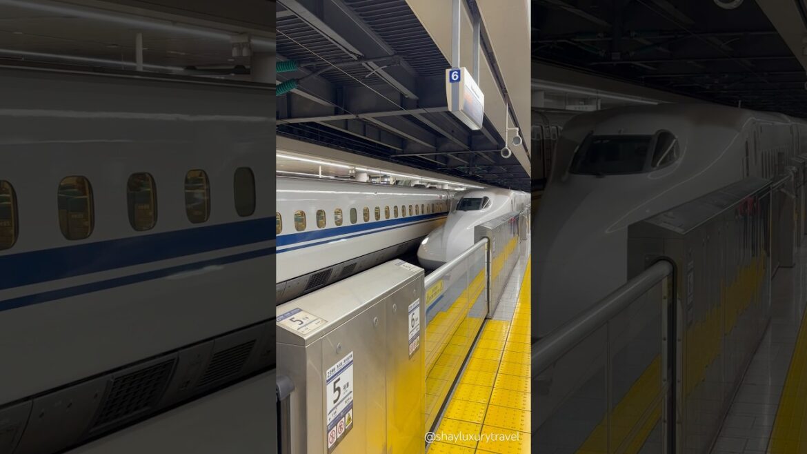 Come travel with me on FAST Shinkansen Japan bullet train from Tokyo to Shin Osaka 🚅 #shinkansen