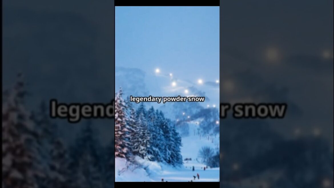 Must-Visit Attractions in Japan This December! #JapanInDecember #WinterInJapan #TokyoIlluminations Must-Visit Attractions in Japan This December! #JapanInDecember #WinterInJapan #TokyoIlluminations