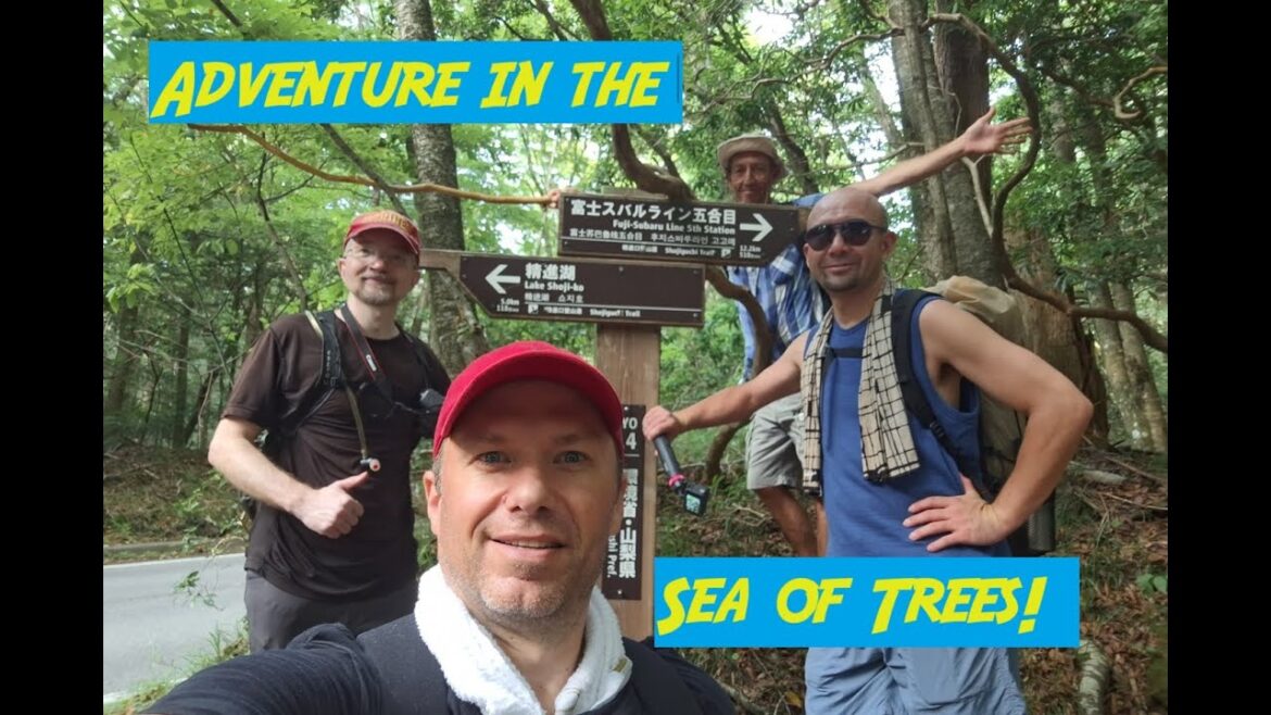 Hike in Japan! The Many Faces of Aokigahara. #japanlife #japantravel #hiking #fuji #japanese #travel