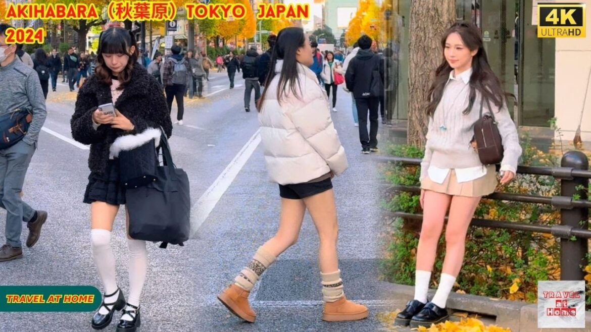 4k hdr japan travel 2024 | Walk in Akihabara（秋葉原）Tokyo Japan |  Relaxing Natural City ambience
