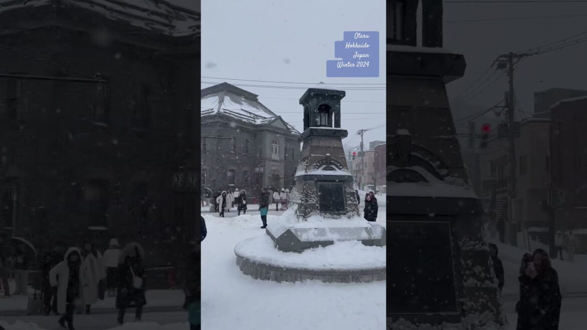 #otaru #hokkaido #Japan #winter #오타루