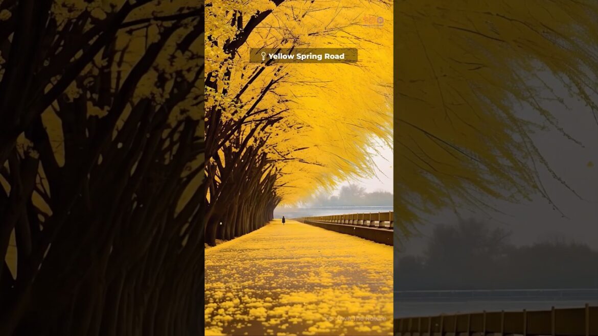 Places in JAPAN π―π΅ that don’t feel REAL ! π’ Places in JAPAN π―π΅ that don't feel REAL ! π’