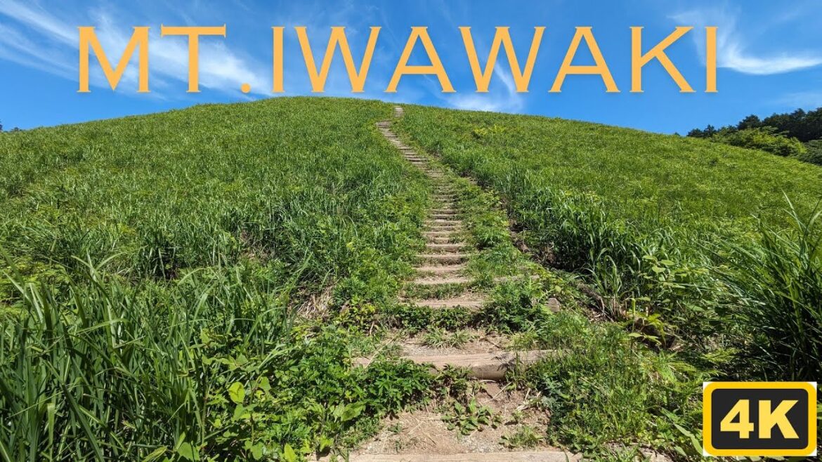 Hiking Mt. Iwawaki (岩湧山) | Nature trails in Osaka