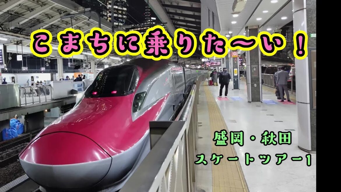 こまちに乗りた～い！(盛岡・秋田スケートツアー1)