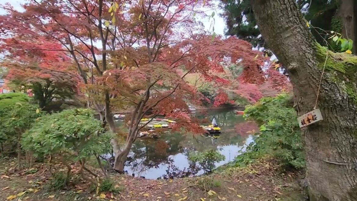 Hirosaki in Autumn Hirosaki in Autumn