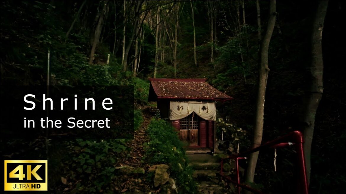Have you ever seen a hidden shrine quietly standing deep in the mountains of Japan?　 4K24fps