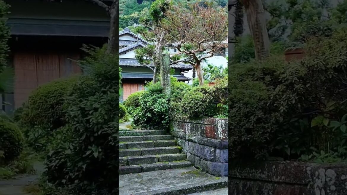 Classic Day trip to Hakone | travel Diaries | Experience Japan’s Beauty Instantly