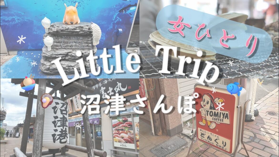 [女ひとり旅]沼津さんぽ | 浜焼き | 1人飲み🍺 | お寿司🍣 | 沼津港🐟 | cafe☕️ | 日帰り旅行 | 静岡🍵