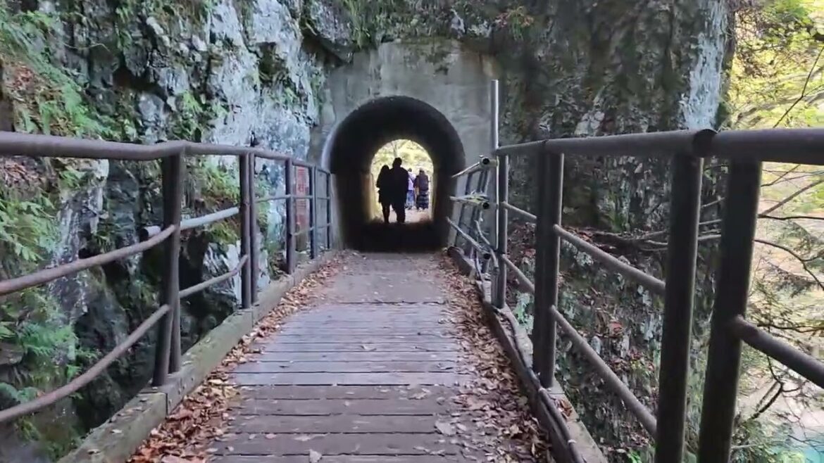 Dakigaeri Valley in Autumn Dakigaeri Valley in Autumn