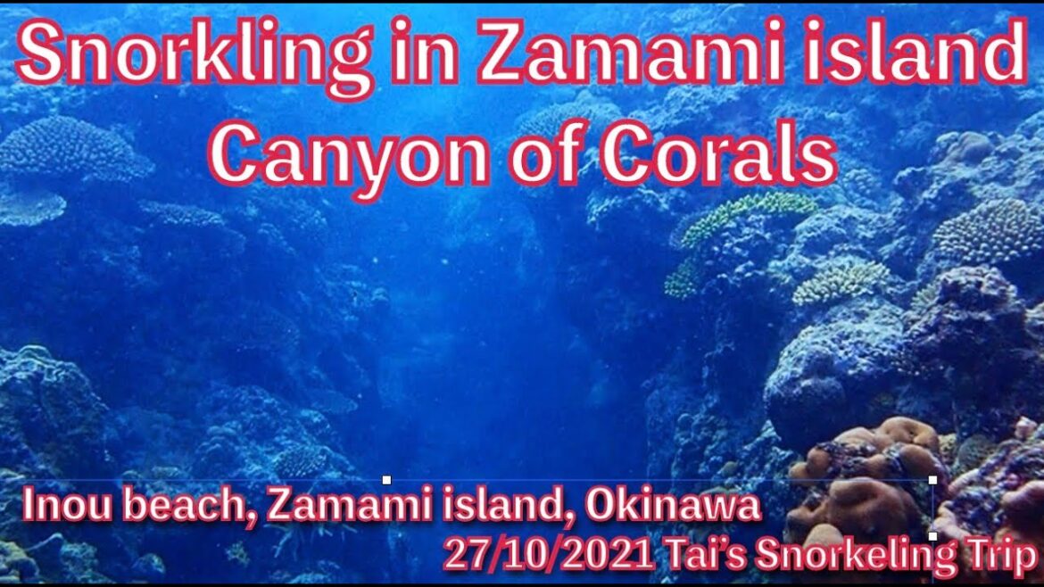【#48 Tai’s Snorkeling Trip in Okinawa】Inou beach in Zamami island, Okinawa, Japan 【#48 Tai’s Snorkeling Trip in Okinawa】Inou beach in Zamami island, Okinawa, Japan