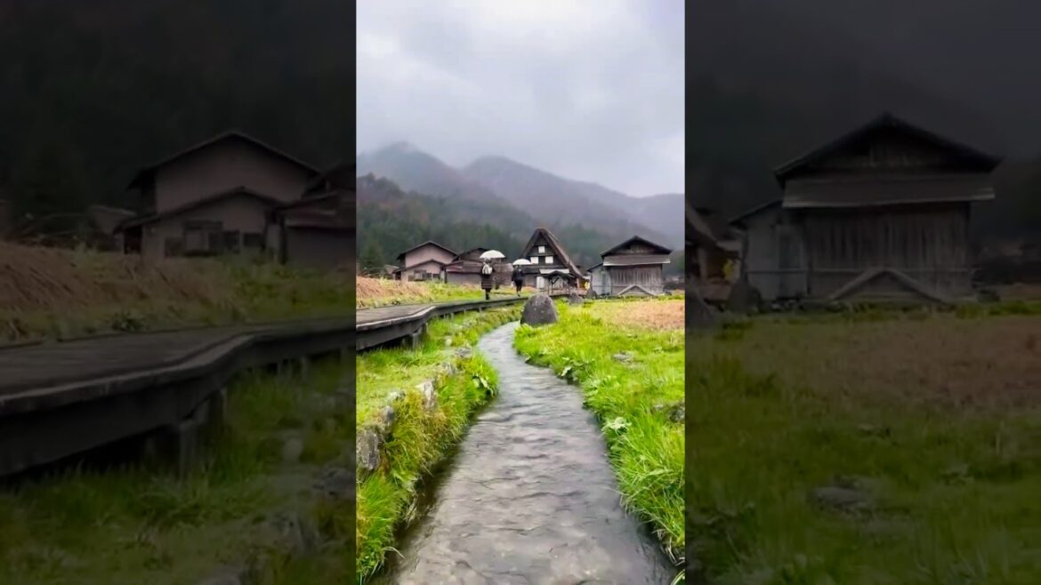 Best places to visit in summer in Japan! #travel  #japan  #inefishingvillage #kyoto Best places to visit in summer in Japan! #travel  #japan  #inefishingvillage #kyoto