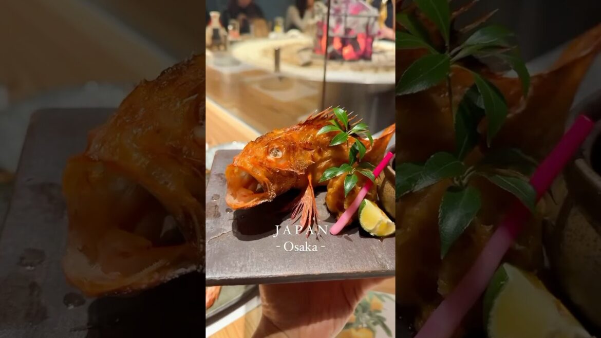 π₯ Osaka’s Must-Try Izakaya Spot! ππ₯ π₯ Osaka's Must-Try Izakaya Spot! ππ₯