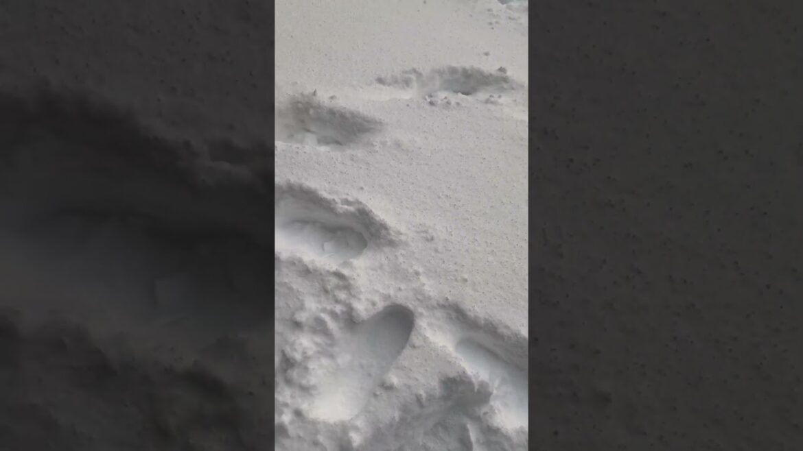 Must visit places in Otaru Japan ❄️🌨️|#ytshorts #snowfall #winter #japantravel #hokkaido