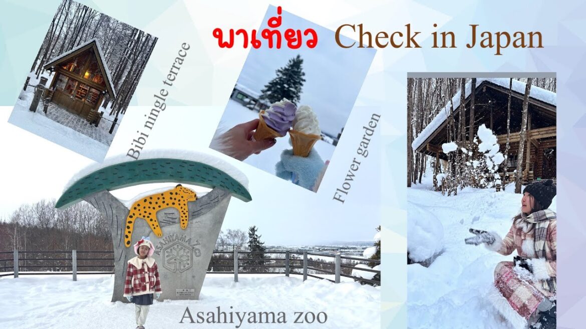 Asahiyama Zoo & Forest Fairy Terrace & Biei Shikisai no Oka Snow Park Tour Ningle terrace|Hokkaido