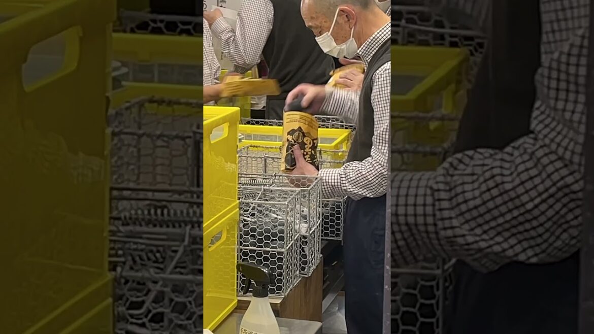 Discover HAKONE Japan's Hidden Gem in ONE DAY! #shorts #japantravel #hakone #solotravel