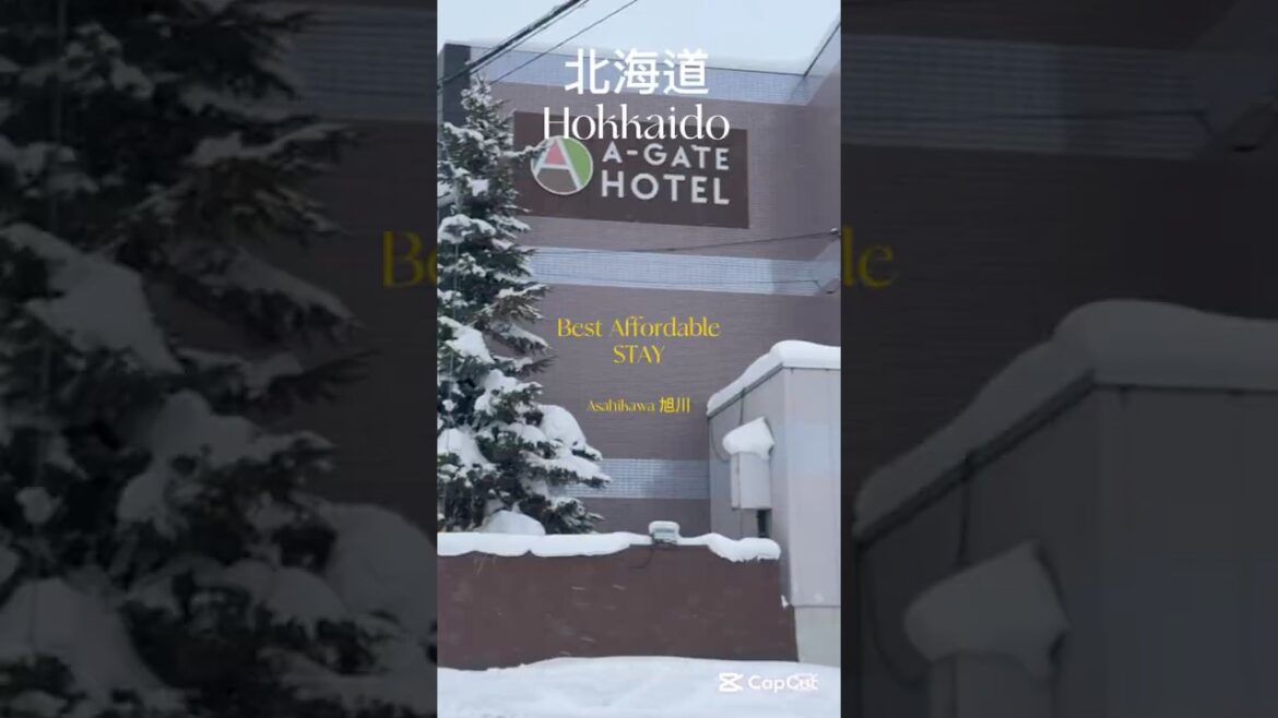 ❄️Hokkaido•北海道🇯🇵Asahikawa 旭川 A-Gate Hotel|December #winter #travel |Like & Follow for full video❤️ ❄️Hokkaido•北海道🇯🇵Asahikawa 旭川 A-Gate Hotel|December #winter #travel |Like & Follow for full video❤️