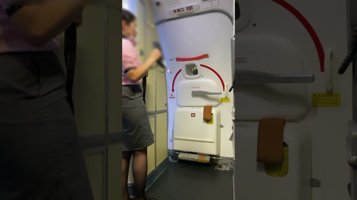 ANA CAチーフ 麗のドアクローズ ANA CAチーフ 麗のドアクローズ